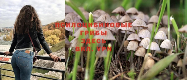 MESCALINE Куйбышев