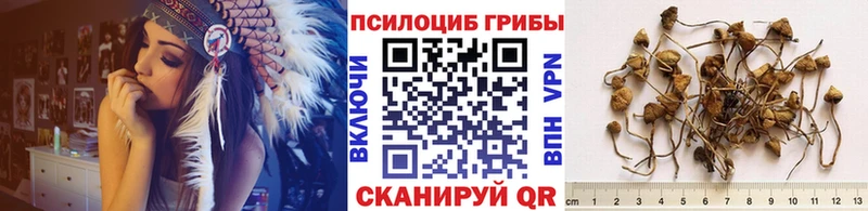 Галлюциногенные грибы Magic Shrooms  Купить закладки  Курганинск 